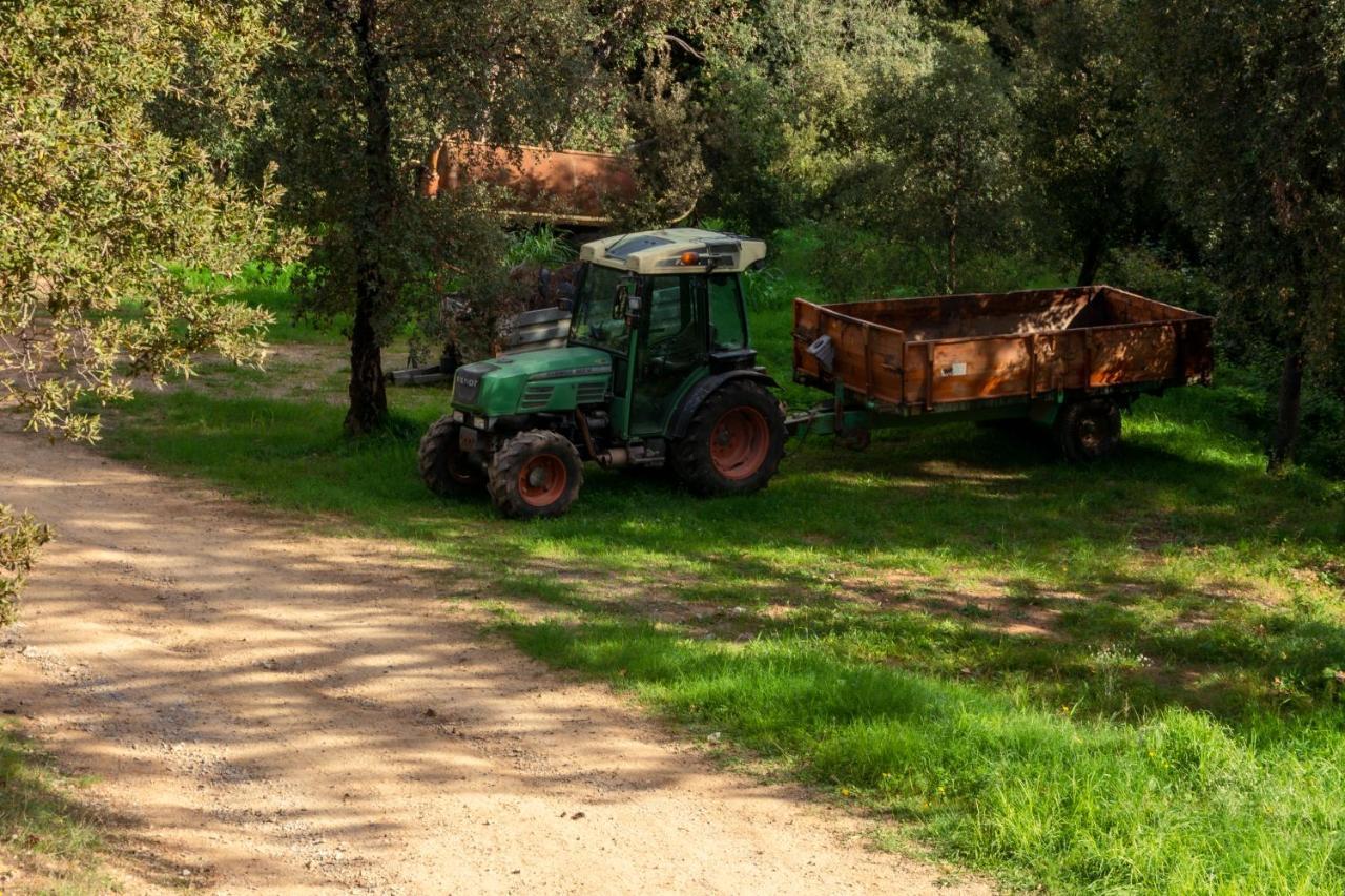 Finca Bell-Lloc Palamós Dış mekan fotoğraf